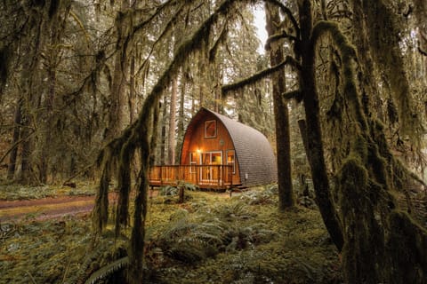 Beautiful cabin in quiet gated community