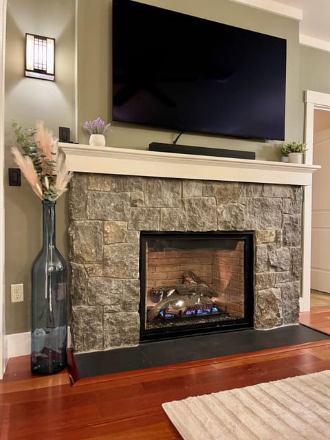Living room fireplace and 65" OLED Smart TV
