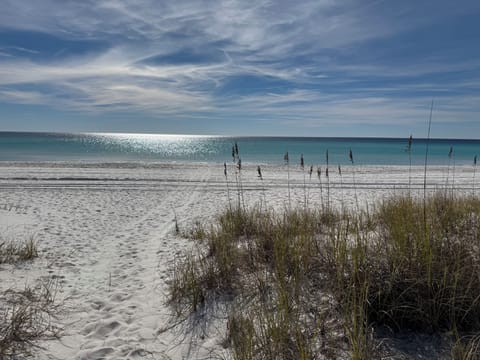 Sunnyside Beach . Quick ~2 minute walk, less than 500 feet walk.