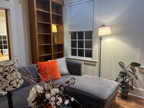 lbig ibrary with lazy couch, books