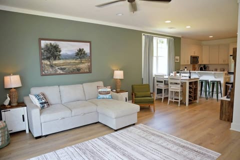 Living room with pull out couch