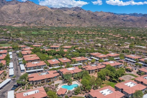 Overview of complex #1
