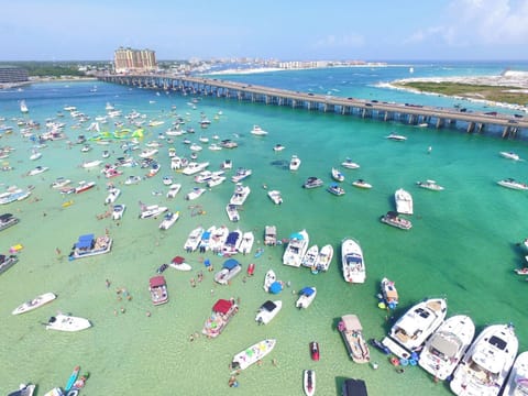 Crab Island