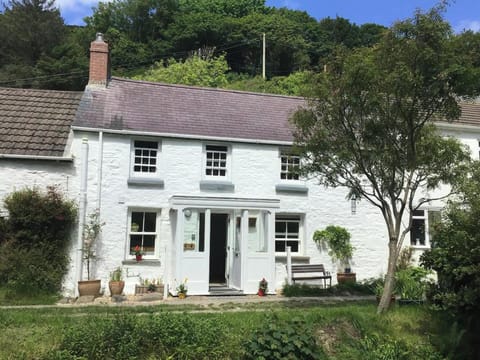 The outside of Gervic Cottage with tree, bushes and bench