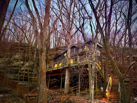 Treehouse 3