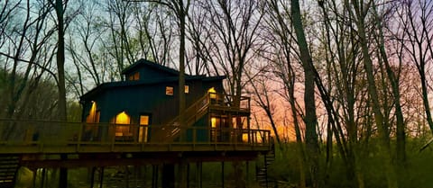 Treehouse 4 at sunset