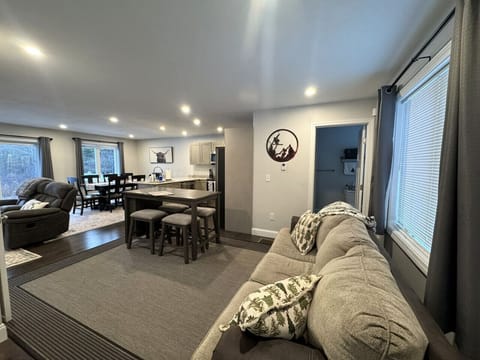 lounge area. couch with pull out full size bed