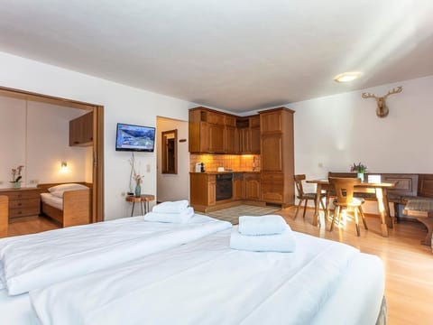 Apartment Tanne - Sportchalet Viehhofen Apartment in Viehhofen