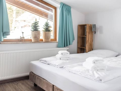 Apartment Ahorn - Sportchalet Viehhofen Apartment in Viehhofen