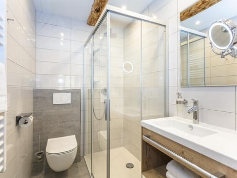 Apartment Ahorn - Sportchalet Viehhofen Apartment in Viehhofen