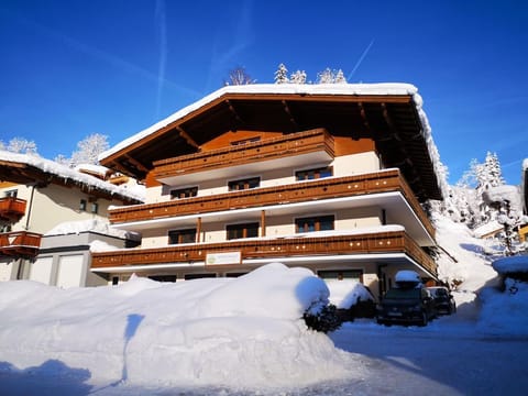 Apartment Lärche - Sportchalet Viehhofen Apartment in Viehhofen