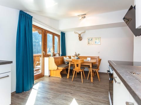 Apartment Birke - Sportchalet Viehhofen Apartment in Viehhofen