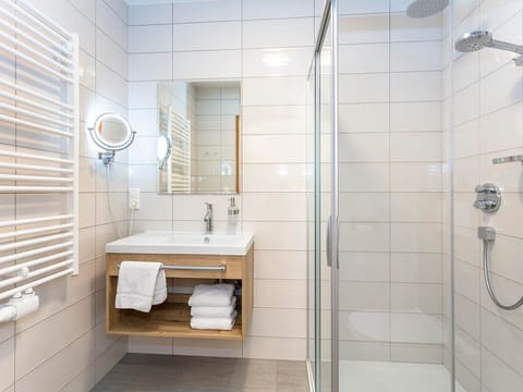 Apartment Birke - Sportchalet Viehhofen Apartment in Viehhofen