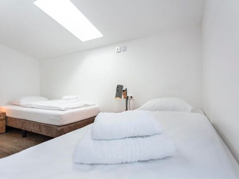 Apartment Esche - Sportchalet Viehhofen Apartment in Viehhofen