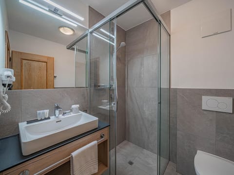 HAUS ANDREA-CÄCIEL Apartment "GAISBERG Nr. 6" - Apartment Andrea-Cäciel Apartment in Salzburgerland