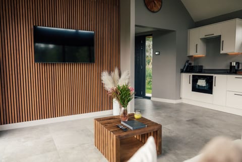 Living Room / Lounge