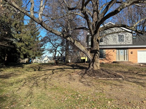 Large yard with mature trees