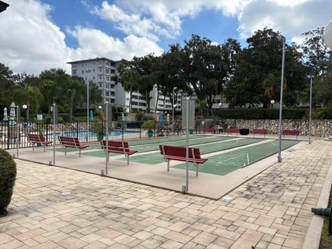 Sport court