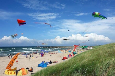 Immediate Surroundings [summer] (<1 km)