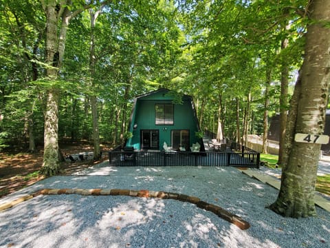 Large patio including a covered portion with comfy furniture and a grill
