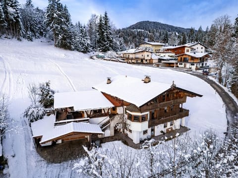 Ferienwohnung am Penningberg - apartment/flat, shower, 2 bedrooms Apartment in Salzburgerland