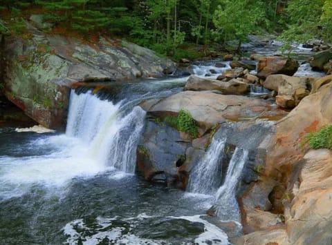 Tellico River – 5 min driveCrystal-clear mountain water perfect for fly-fishing, picnicking, and scenic drives along River Road.