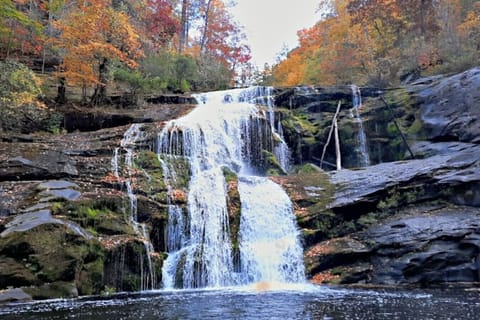 Bald River Falls – 20 min driveOne of Tennessee’s most iconic waterfalls—large, dramatic, and easily viewed from the roadside.