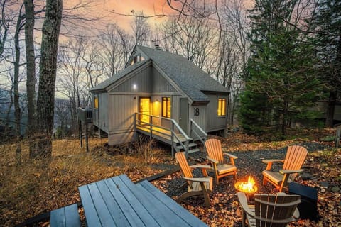 Walk to ski from this 3BR 2 BA cozy renovated cottatge