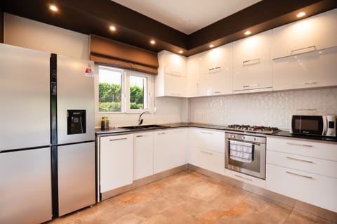 Contemporary style of kitchen