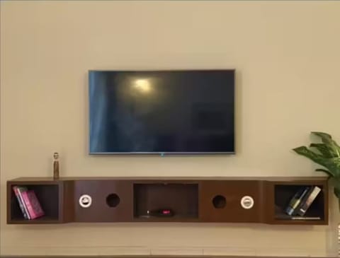 Television