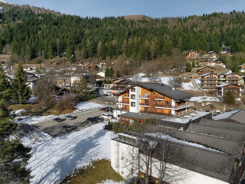 Tree, House, Residential Area, Winter, Snow, Home, Human Settlement, Freezing, Hill Station, Geological Phenomenon