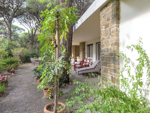 Shrub, Garden, Groundcover, Shade, Brick, Backyard, Landscaping, Yard, Flagstone, Houseplant