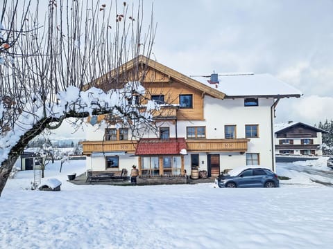 Snow, Blue, Winter, Branch, Landscape, Freezing, Slope, Geological Phenomenon, Twig, Hill Station