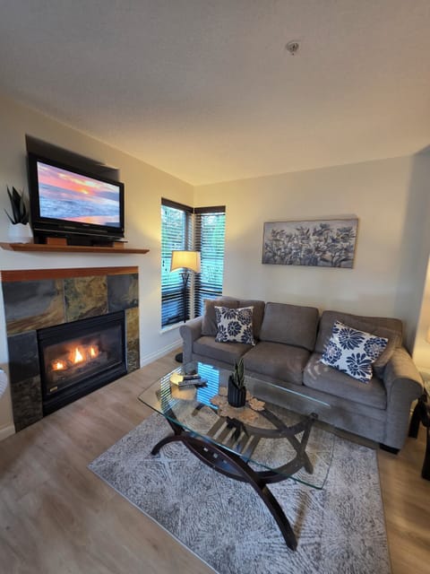 Streaming TV. Double glass doors. AC unit / natural gas fireplace. 