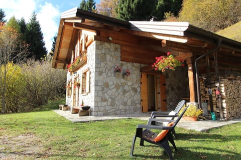 Autumn, Garden, Spring, Summer