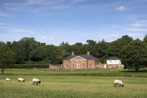Stunning beautiful 9 bedroom country house