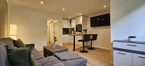 Living room and kitchen area with large TV