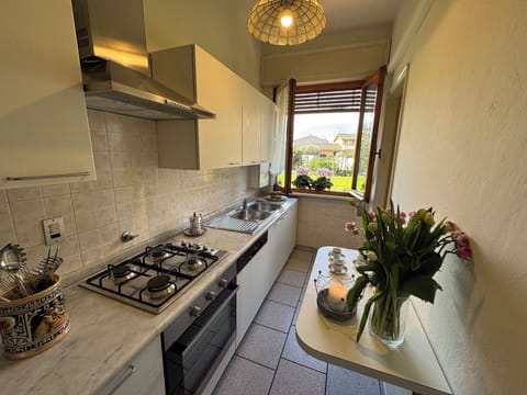 Kitchen, Kitchen Appliance, Major Appliance, Countertop, Kitchen Stove, Gas Stove, Stove, Kitchen Sink, Apartment, Cooktop