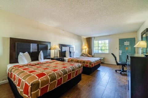 Step into a bright double-queen room made for relaxing.