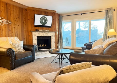 Cozy living space with a fireplace, TV, and window view.