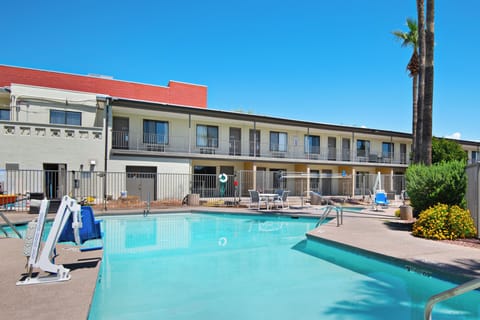 Dive into sunlit calm and unwind poolside under palms.