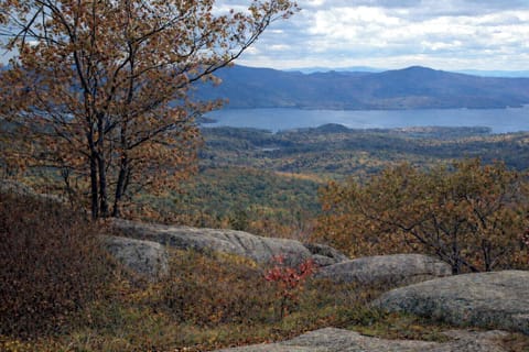 View from the top of the private hiking trail on our 48 acre property.