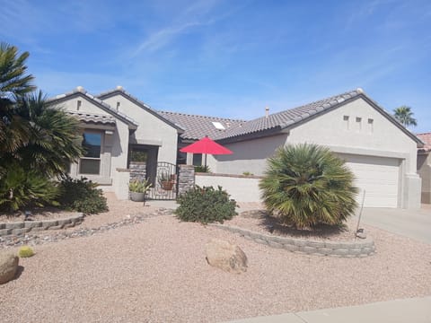 South Facing Courtyard for morning coffee in the sun.