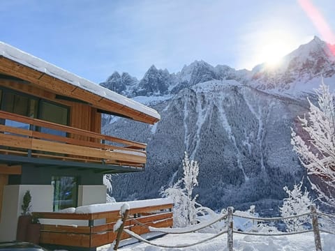 Acorn winter will image