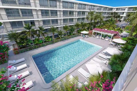 Poolside view with palm trees and sun chairs all around