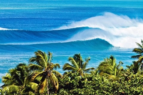 Welcome to Rincón. Puerto Rico's Surfing Capital.