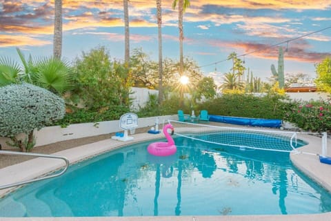 A sparkling pool with an LED basketball hoop, volleyball net, and surrounded by fruit trees and palm trees creates the perfect backyard paradise.



