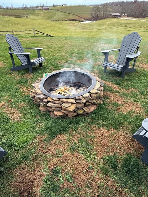 Outside fire pit. Wood and lighter furnished.