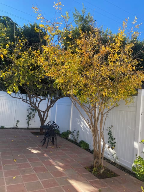 Private fenced yard