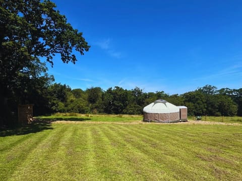Nemetona is situated in the quiet hamlet of Quoditch, halfway between Dartmoor and the North Cornish Coast